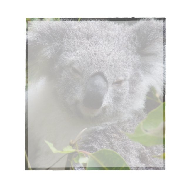 koala notes (Front)