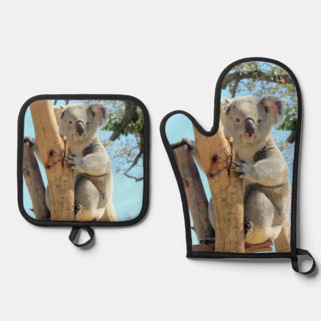 Koala  oven mitt & pot holder set (Front)