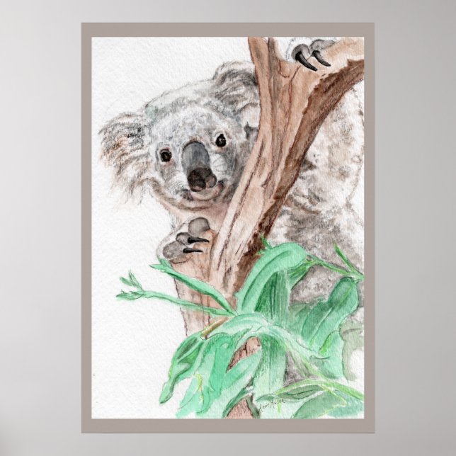 Koala, Peek-a-Boo Poster (Front)