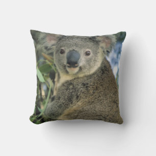 Koala, Phascolarctos cinereus), endangered, Throw Pillow