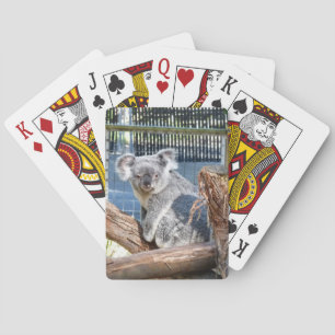 Koala Playing Cards