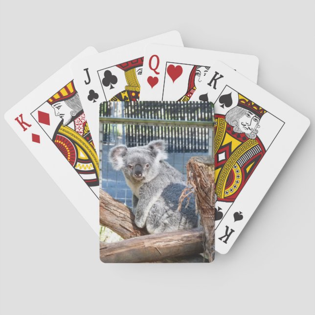 Koala Playing Cards (Back)