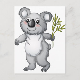 Koala Postcard