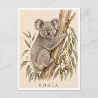 Koala Postcard | Bush Edition