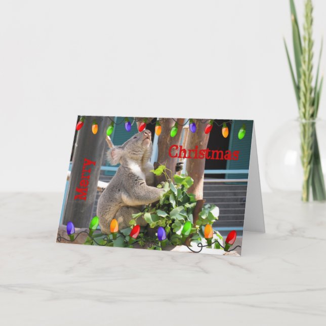 Koala Preparing for Christmas Card (Front)