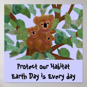 Koala protect our habitat Poster