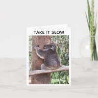 Koala resting get well card