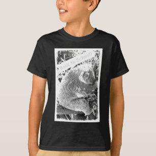 Koala Retour à l'école Visage gravé T-shirt