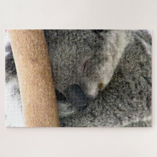 koala sleep jigsaw puzzle
