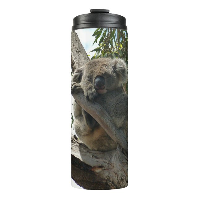 Koala - Sleeping Gift Tags Thermal Tumbler (Front)