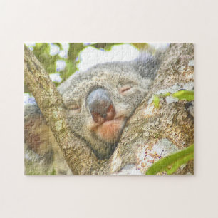 Koala Sleeping Jigsaw Puzzle