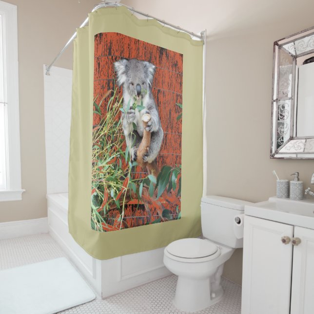 Koala Snack Time (In Situ)