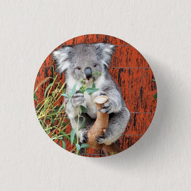 Koala Snack Time Badge 1 Inch Round Button (Front)