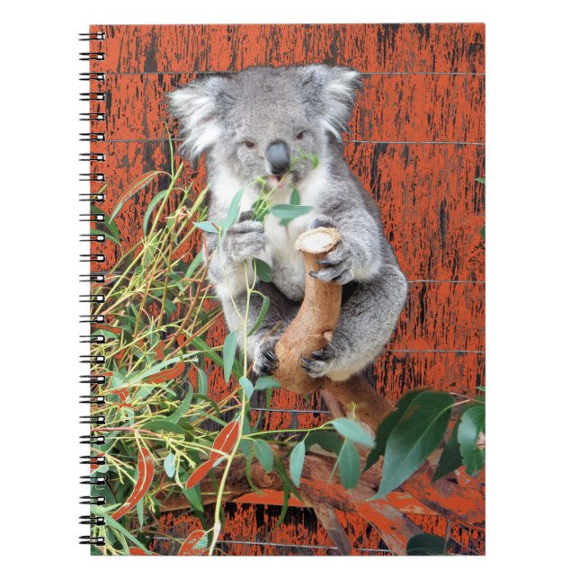 Koala Snack Time Spiral Carnet (Devant)
