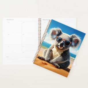 Koala sur une plage de sable