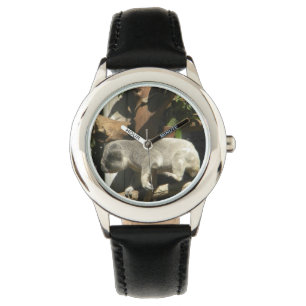 Koala Time Watch