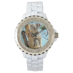 Koala Watch- Many Styles to Chose From Watch