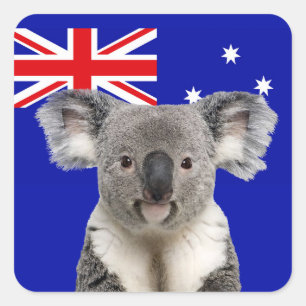 Koala with Australian Flag Background   Square Sticker