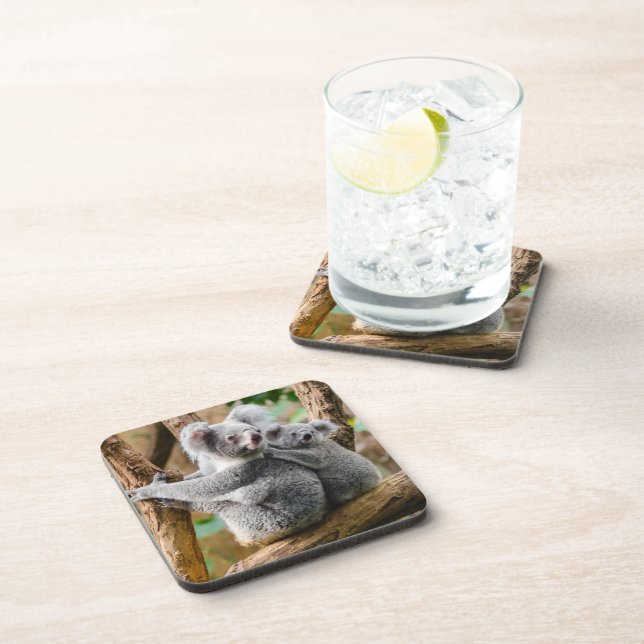 Koala with Baby in a Tree in Australia Coaster (Right Side)