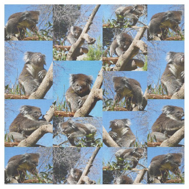 "Koala Wonders: A Heartwarming Photo Collage" Fabric (Close Up)