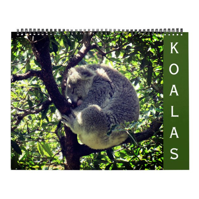 koalas 2027 grand calendrier (Protection)