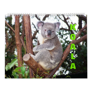 Koalas Calendar