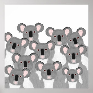 Koalas Poster