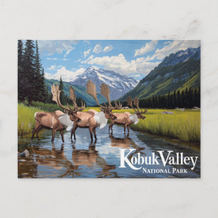 Kobuk Valley Caribou Herd Alaska Art Postcard
