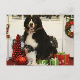 Kobus and Grover - Eiting - Photo 4 Postcard