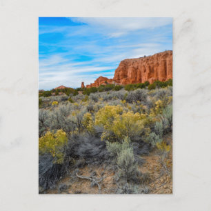 Kochorme State Park Postcard