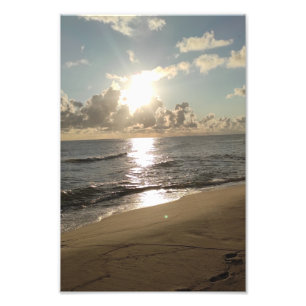 Kodak Professional Photo Paper (Satin) Photo Enlar Print