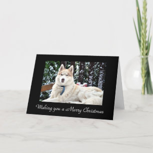 Kodi - Snow Bench Holiday Card