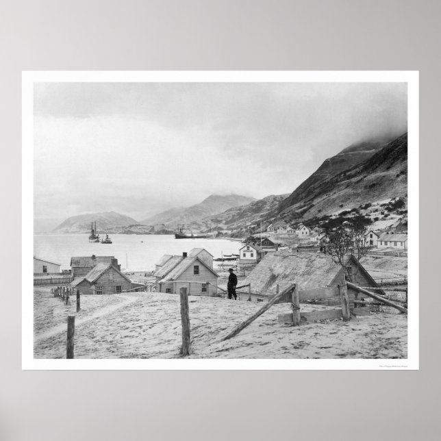 Kodiak, Alaska Panorama 1909 Poster (Front)