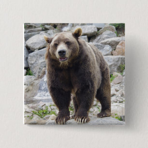 Kodiak bear 2 inch square button