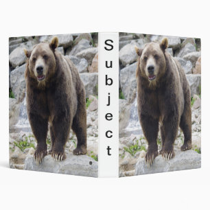 Kodiak bear binder