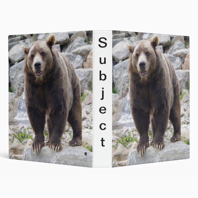 Kodiak bear binder (Background)