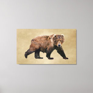 Kodiak Bear Canvas Print