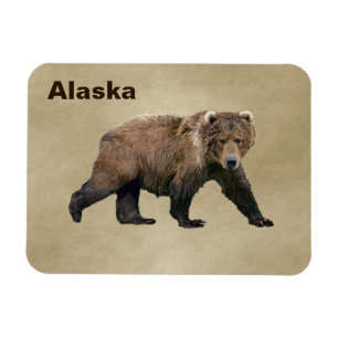 Kodiak Bear Magnet