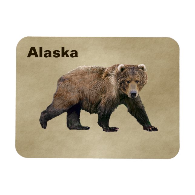Kodiak Bear Magnet (Horizontal)