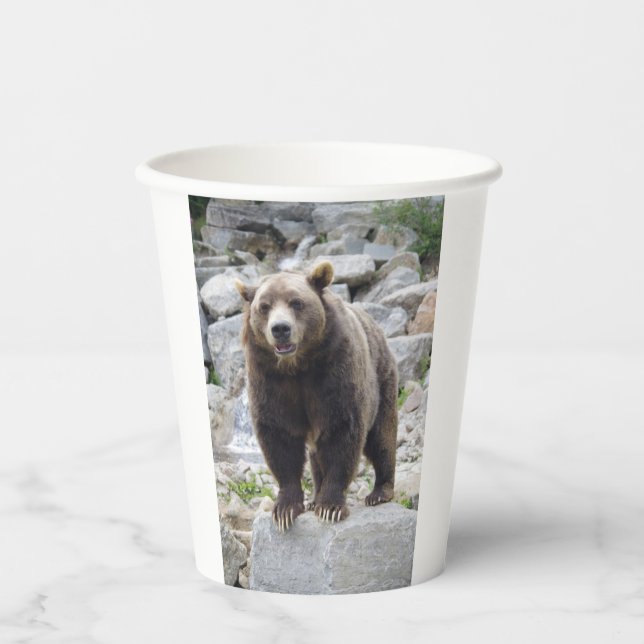 Kodiak Bear Paper Cups (Front)
