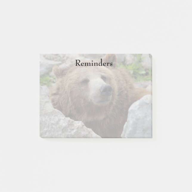 Kodiak bear post-it notes (Front)