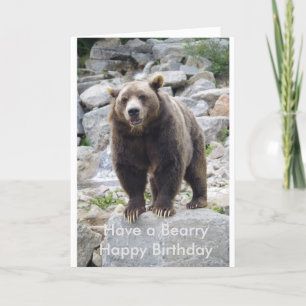 Kodiak bear standing om a rock card