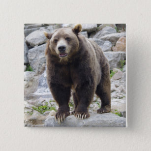 Kodiak Bear Standing on a Rock 2 Inch Square Button