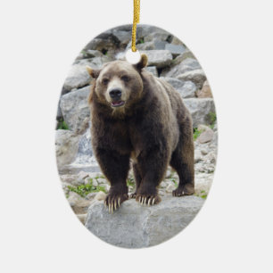 Kodiak Bear Standing on a Rock Ceramic Ornament