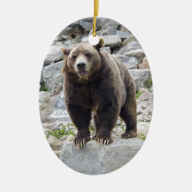Kodiak Bear Standing on a Rock Ceramic Ornament (Front)