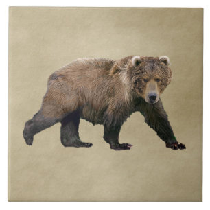 Kodiak Bear Tile