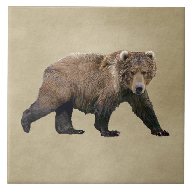 Kodiak Bear Tile (Front)