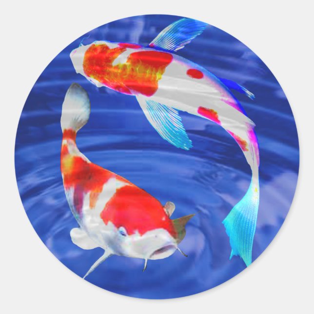 Kohaku Duo in Deep Blue Pond Classic Round Sticker (Front)