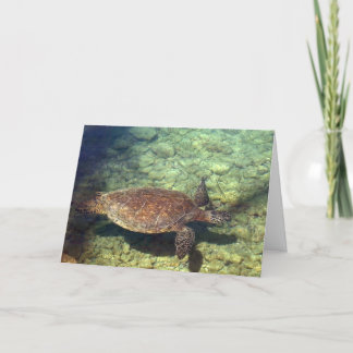 Kohala Sea Turtle Thank You Card