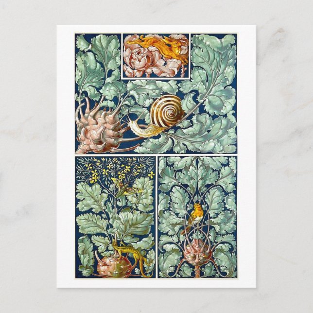 Kohlrabi comme carte postale objet décoratif (Devant)